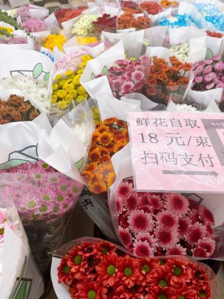 鲜切花批发渠道有哪些_鲜切花怎么保存时间更长-第2张图片-俊逸知识馆 鲜切花批发渠道有哪些_鲜切花怎么保存时间更长-第2张图片-俊逸知识馆