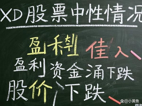xd股票是什么意思_xd股票当天可以买卖吗-第3张图片-俊逸知识馆 xd股票是什么意思_xd股票当天可以买卖吗-第3张图片-俊逸知识馆