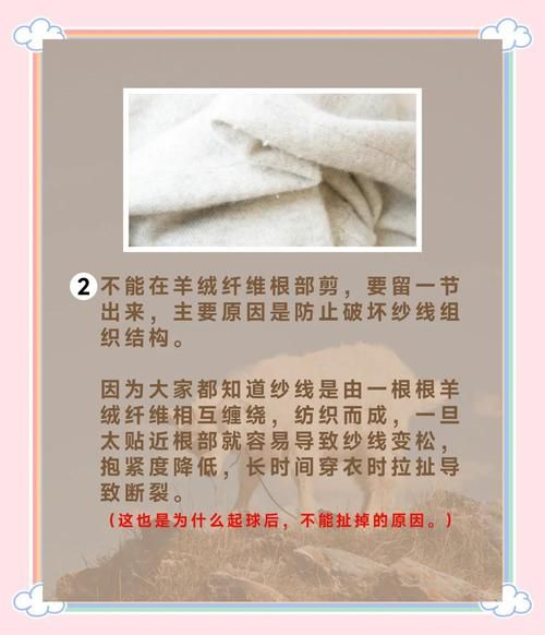 羊绒衫怎么选_羊绒衫起球怎么办-第1张图片-俊逸知识馆 羊绒衫怎么选_羊绒衫起球怎么办-第1张图片-俊逸知识馆