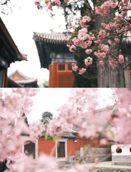 北京万寿寺门票价格_开放时间-第1张图片-俊逸知识馆 北京万寿寺门票价格_开放时间-第1张图片-俊逸知识馆