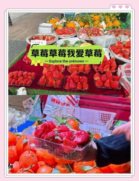 草莓价格为什么波动大_草莓批发哪里最便宜-第1张图片-俊逸知识馆 草莓价格为什么波动大_草莓批发哪里最便宜-第1张图片-俊逸知识馆