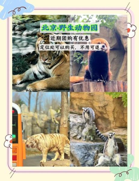 北京有几个动物园_北京动物园哪个最好玩-第1张图片-俊逸知识馆 北京有几个动物园_北京动物园哪个最好玩-第1张图片-俊逸知识馆