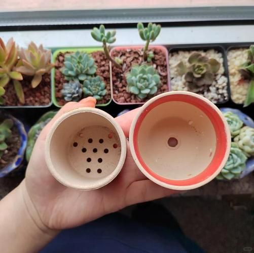 花盆买什么材质好_花盆底部要不要打孔-第3张图片-俊逸知识馆 花盆买什么材质好_花盆底部要不要打孔-第3张图片-俊逸知识馆