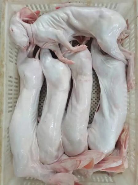 兔肉价格多少钱一斤_兔肉怎么做好吃-第2张图片-俊逸知识馆 兔肉价格多少钱一斤_兔肉怎么做好吃-第2张图片-俊逸知识馆