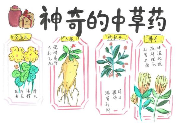 中草药价格走势_如何辨别真假药材-第2张图片-俊逸知识馆 中草药价格走势_如何辨别真假药材-第2张图片-俊逸知识馆