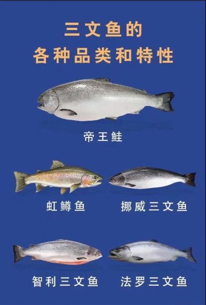 三文鱼多少钱一斤_如何挑选新鲜三文鱼-第2张图片-俊逸知识馆 三文鱼多少钱一斤_如何挑选新鲜三文鱼-第2张图片-俊逸知识馆
