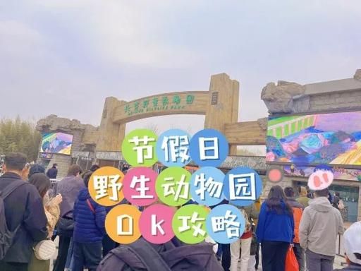 北京大兴野生动物园门票价格_北京大兴野生动物园自驾区怎么玩-第1张图片-俊逸知识馆 北京大兴野生动物园门票价格_北京大兴野生动物园自驾区怎么玩-第1张图片-俊逸知识馆