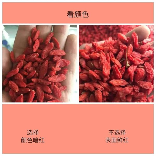枸杞多少钱一斤_枸杞怎么挑选-第2张图片-俊逸知识馆 枸杞多少钱一斤_枸杞怎么挑选-第2张图片-俊逸知识馆