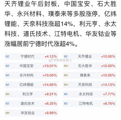 002466股票值得买吗_天齐锂业未来走势分析-第3张图片-俊逸知识馆
