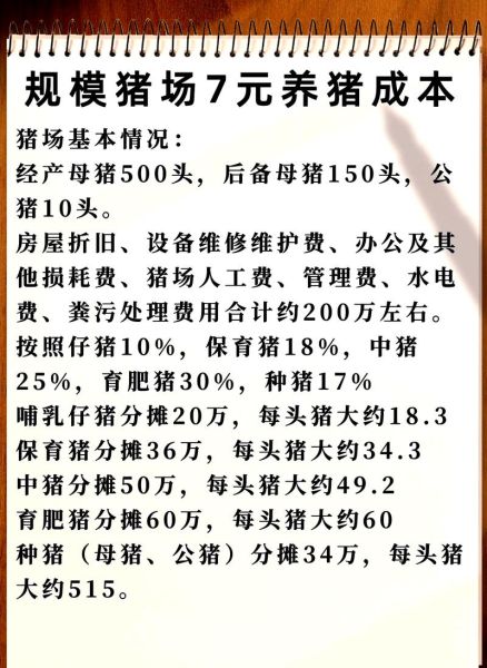 养猪赚钱吗_2024年养猪市场前景如何-第1张图片-俊逸知识馆 养猪赚钱吗_2024年养猪市场前景如何-第1张图片-俊逸知识馆