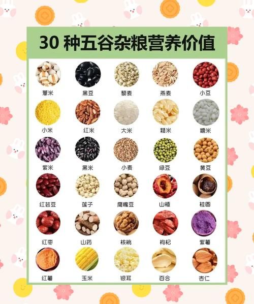 杂粮有哪些品种_杂粮怎么吃最营养-第3张图片-俊逸知识馆 杂粮有哪些品种_杂粮怎么吃最营养-第3张图片-俊逸知识馆