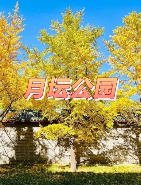 北京月坛公园门票价格_开放时间-第2张图片-俊逸知识馆 北京月坛公园门票价格_开放时间-第2张图片-俊逸知识馆