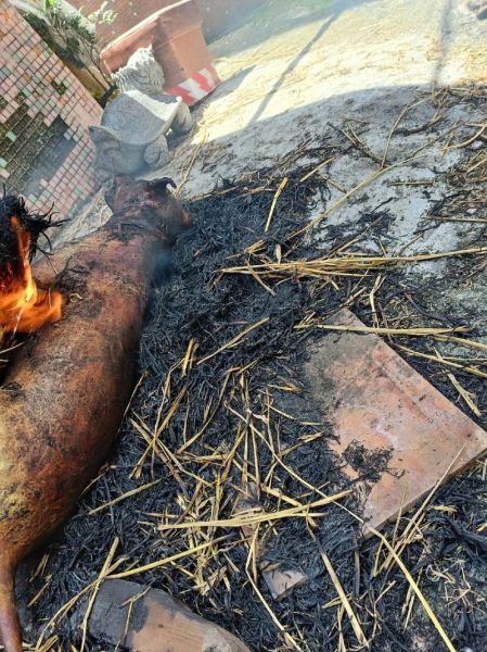 狗肉价格多少钱一斤_狗肉市场合法吗-第2张图片-俊逸知识馆 狗肉价格多少钱一斤_狗肉市场合法吗-第2张图片-俊逸知识馆