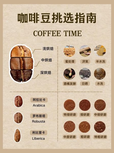 咖啡豆哪个牌子好喝_如何挑选咖啡豆-第1张图片-俊逸知识馆 咖啡豆哪个牌子好喝_如何挑选咖啡豆-第1张图片-俊逸知识馆