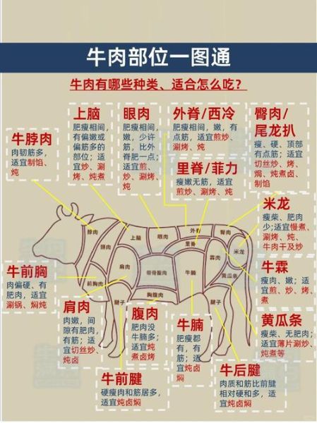 牛肉价格为什么上涨_如何挑选新鲜牛肉-第1张图片-俊逸知识馆 牛肉价格为什么上涨_如何挑选新鲜牛肉-第1张图片-俊逸知识馆