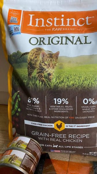 猫粮哪个牌子好_幼猫吃什么猫粮-第2张图片-俊逸知识馆 猫粮哪个牌子好_幼猫吃什么猫粮-第2张图片-俊逸知识馆