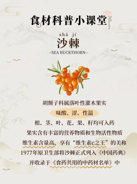 沙棘多少钱一斤_沙棘的功效与作用有哪些-第1张图片-俊逸知识馆 沙棘多少钱一斤_沙棘的功效与作用有哪些-第1张图片-俊逸知识馆