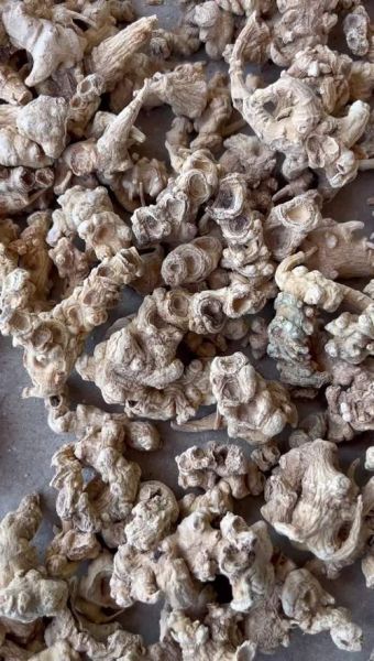 三七市场价格走势_三七多少钱一斤-第3张图片-俊逸知识馆 三七市场价格走势_三七多少钱一斤-第3张图片-俊逸知识馆