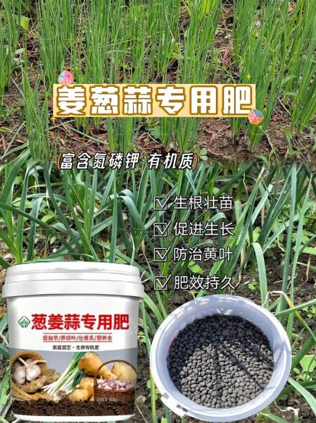 有机肥和复合肥哪个好_如何科学施肥提高产量-第3张图片-俊逸知识馆 有机肥和复合肥哪个好_如何科学施肥提高产量-第3张图片-俊逸知识馆