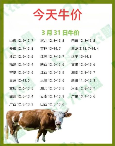 羊市场价格走势_养羊赚钱吗-第1张图片-俊逸知识馆