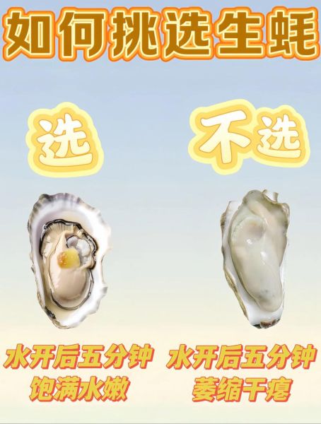 生蚝怎么挑选新鲜_生蚝批发价格多少钱一斤-第3张图片-俊逸知识馆