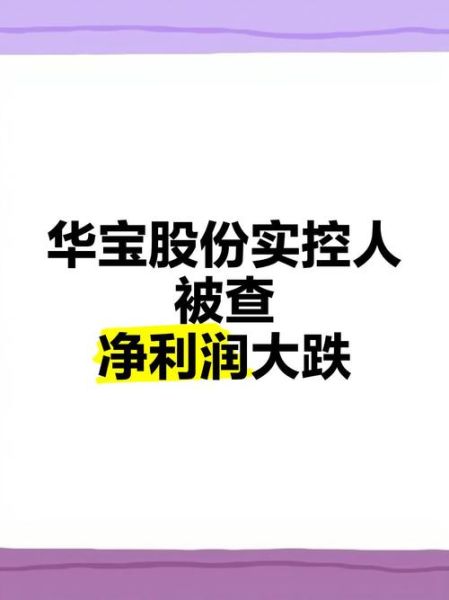 华宝国际股票怎么样_华宝国际股票值得买吗-第2张图片-俊逸知识馆 华宝国际股票怎么样_华宝国际股票值得买吗-第2张图片-俊逸知识馆