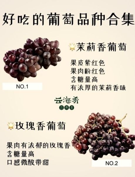 葡萄价格多少钱一斤_葡萄怎么挑选才甜-第2张图片-俊逸知识馆