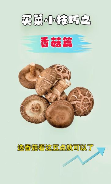 蘑菇价格为什么忽高忽低_如何挑选新鲜蘑菇-第2张图片-俊逸知识馆 蘑菇价格为什么忽高忽低_如何挑选新鲜蘑菇-第2张图片-俊逸知识馆