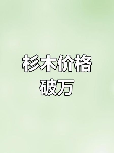 杉木价格多少钱一方_杉木市场行情走势-第2张图片-俊逸知识馆 杉木价格多少钱一方_杉木市场行情走势-第2张图片-俊逸知识馆