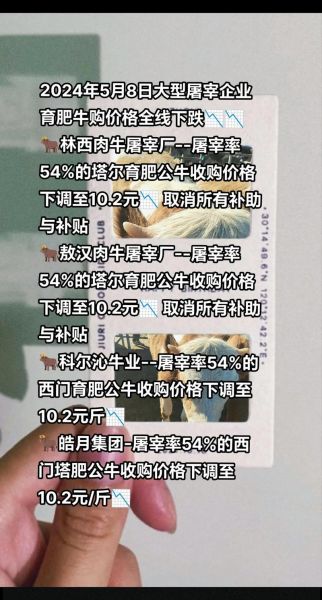 牛市场价格走势_如何挑选健康牛犊-第2张图片-俊逸知识馆 牛市场价格走势_如何挑选健康牛犊-第2张图片-俊逸知识馆