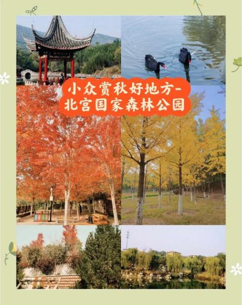 北京丰台区附近旅游景点有哪些_丰台区一日游路线推荐-第3张图片-俊逸知识馆