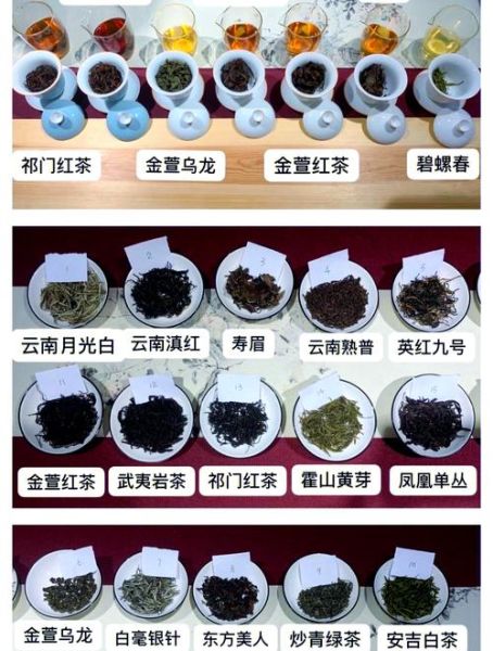 2024年茶叶市场怎么样_如何选茶不踩坑-第3张图片-俊逸知识馆