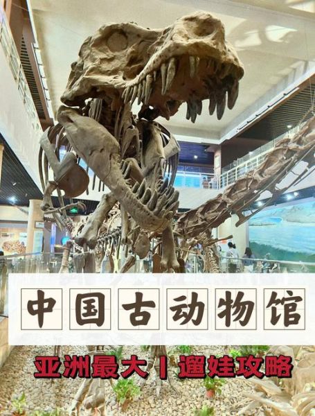 北京恐龙博物馆门票价格_北京恐龙博物馆开放时间-第1张图片-俊逸知识馆