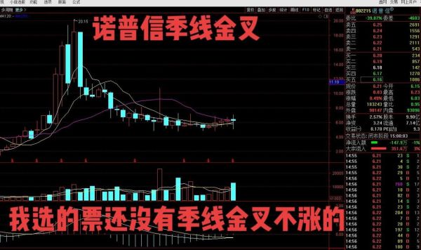 诺普信股票走势_未来还能涨吗-第2张图片-俊逸知识馆 诺普信股票走势_未来还能涨吗-第2张图片-俊逸知识馆