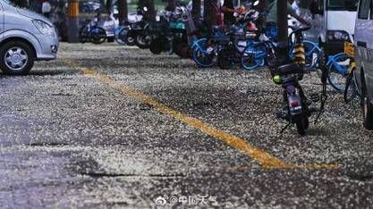 北京明天天气怎么样_需要带伞吗-第2张图片-俊逸知识馆 北京明天天气怎么样_需要带伞吗-第2张图片-俊逸知识馆