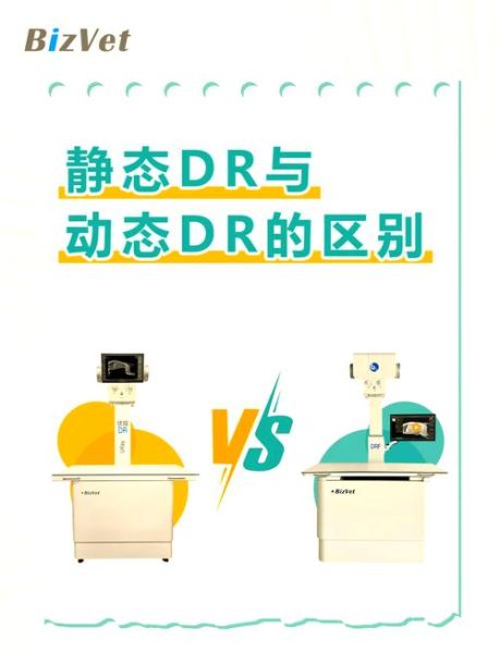 dr是什么意思_dr和医生有什么区别-第2张图片-俊逸知识馆 dr是什么意思_dr和医生有什么区别-第2张图片-俊逸知识馆