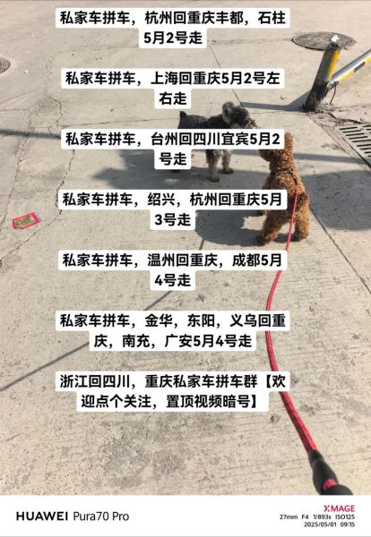 拼车怎么样_拼车安全吗-第2张图片-俊逸知识馆 拼车怎么样_拼车安全吗-第2张图片-俊逸知识馆
