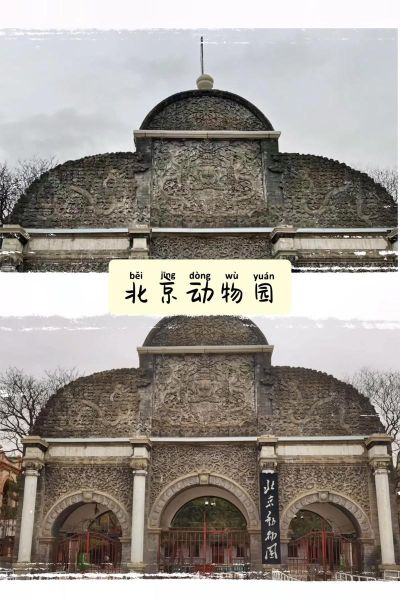 北京动物园几点开门_北京动物园几点关门-第1张图片-俊逸知识馆