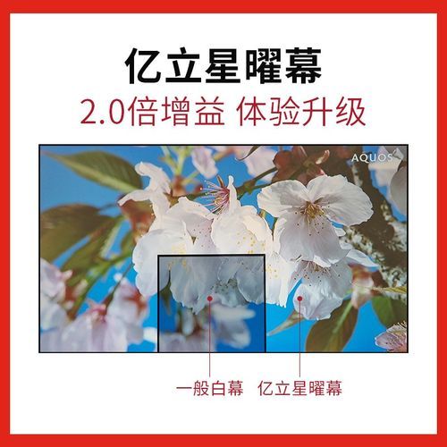 亿立幕布怎么样_亿立幕布值得买吗-第2张图片-俊逸知识馆 亿立幕布怎么样_亿立幕布值得买吗-第2张图片-俊逸知识馆