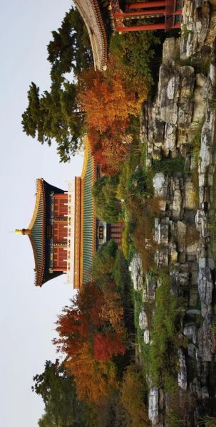 北京园博园门票多少钱_北京园博园门票预约官网-第1张图片-俊逸知识馆 北京园博园门票多少钱_北京园博园门票预约官网-第1张图片-俊逸知识馆