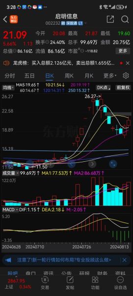 启明信息股票怎么样_启明信息未来走势分析-第3张图片-俊逸知识馆