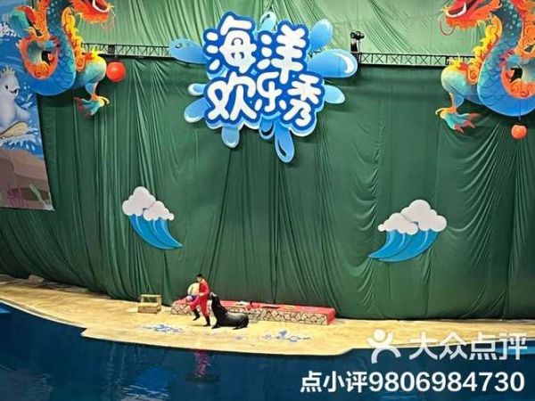 北京动物园海洋馆表演时间_几点开始-第2张图片-俊逸知识馆 北京动物园海洋馆表演时间_几点开始-第2张图片-俊逸知识馆