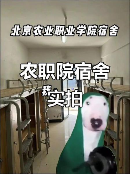 北京农业职业学院宿舍怎么样_住宿条件好吗-第1张图片-俊逸知识馆 北京农业职业学院宿舍怎么样_住宿条件好吗-第1张图片-俊逸知识馆