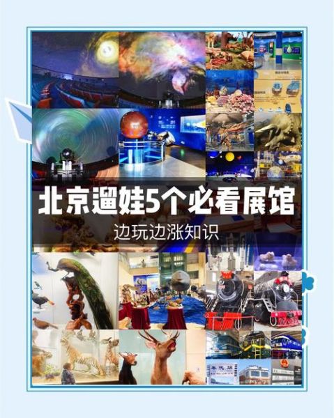 北京博物馆预约攻略_带孩子去哪个好-第3张图片-俊逸知识馆 北京博物馆预约攻略_带孩子去哪个好-第3张图片-俊逸知识馆