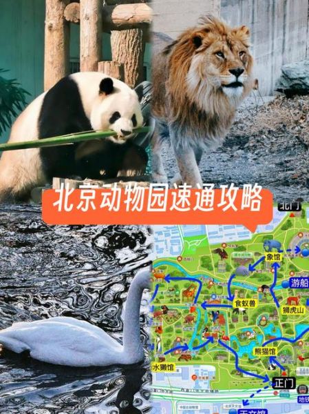 北京动物园电话是多少_北京动物园咨询电话-第1张图片-俊逸知识馆