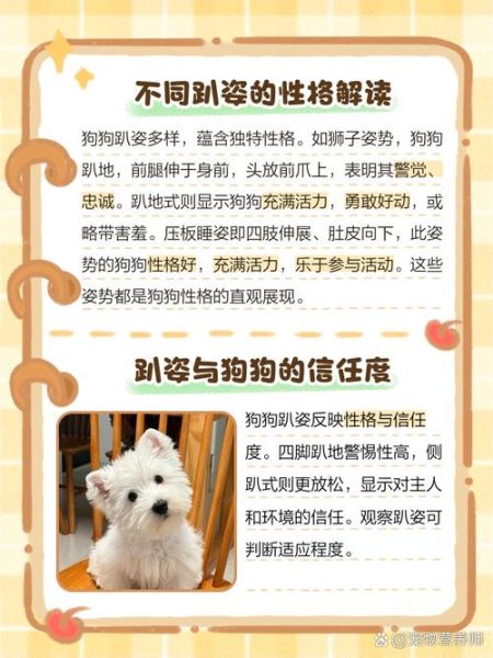 趴趴狗怎么样_趴趴狗好用吗-第3张图片-俊逸知识馆 趴趴狗怎么样_趴趴狗好用吗-第3张图片-俊逸知识馆