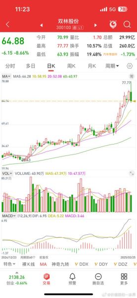 双林股份股票值得买吗_最新走势分析-第1张图片-俊逸知识馆