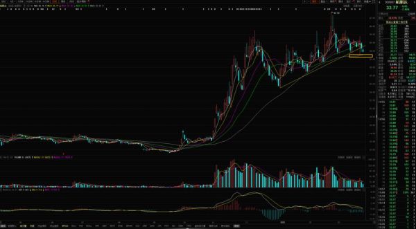 贝英美股票值得长期持有吗_贝英美股票未来走势分析-第1张图片-俊逸知识馆 贝英美股票值得长期持有吗_贝英美股票未来走势分析-第1张图片-俊逸知识馆