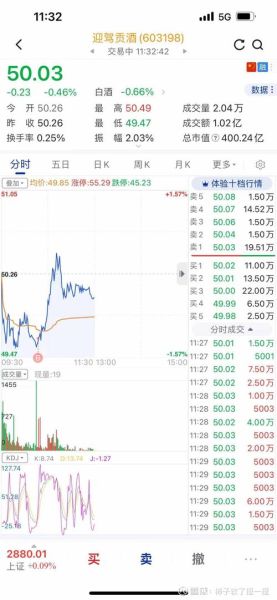 603198股票行情_603198未来走势预测-第1张图片-俊逸知识馆