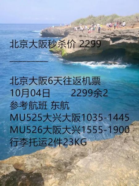 北京飞大阪航班价格_北京到大阪机票怎么买最便宜-第1张图片-俊逸知识馆 北京飞大阪航班价格_北京到大阪机票怎么买最便宜-第1张图片-俊逸知识馆
